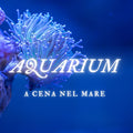 AQUARIUM  a cena nel mare
