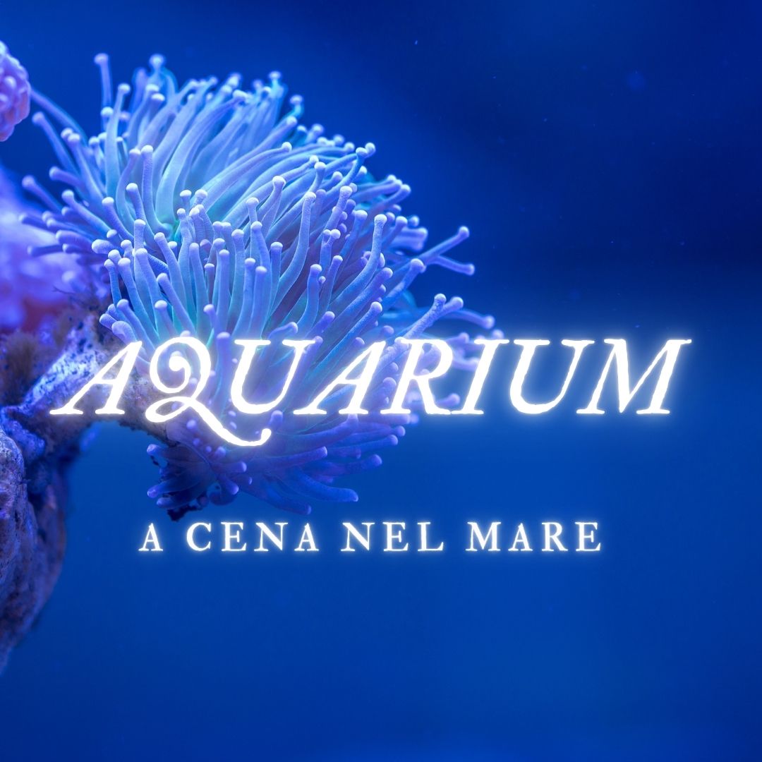 AQUARIUM  a cena nel mare